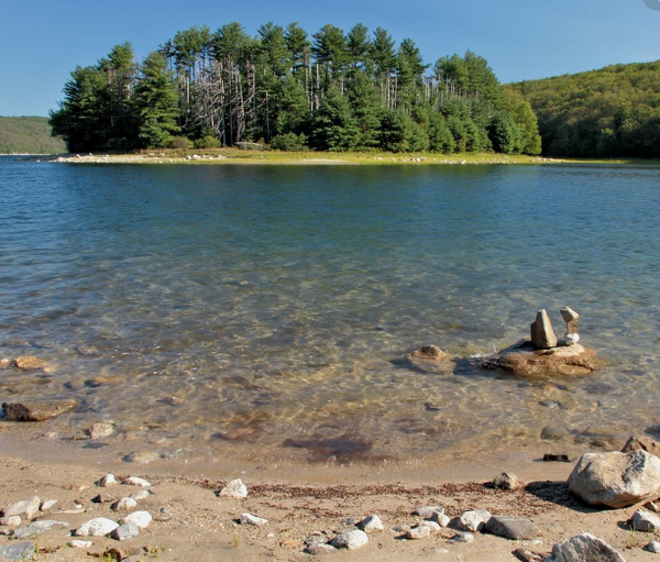Are Dogs Allowed At The Quabbin Reservoir